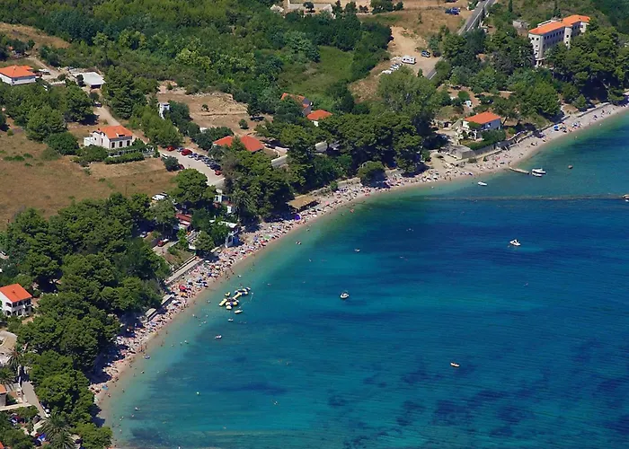 Trstenica Daire Orebić