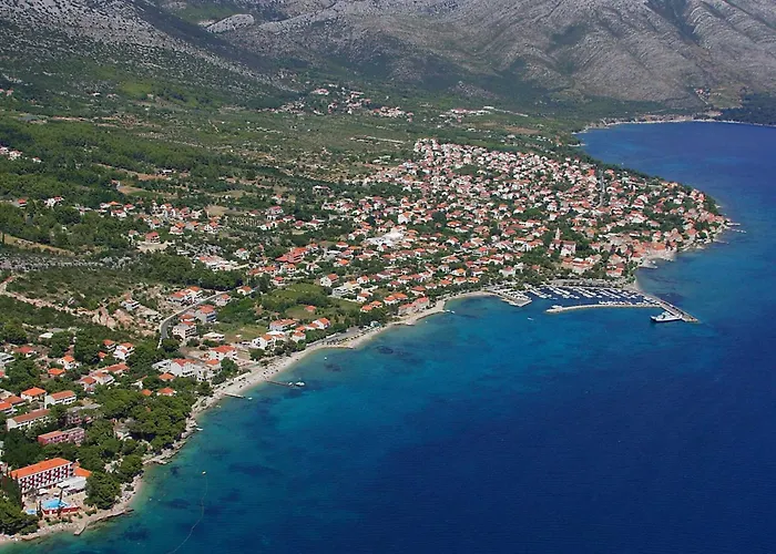 Trstenica Daire Orebić